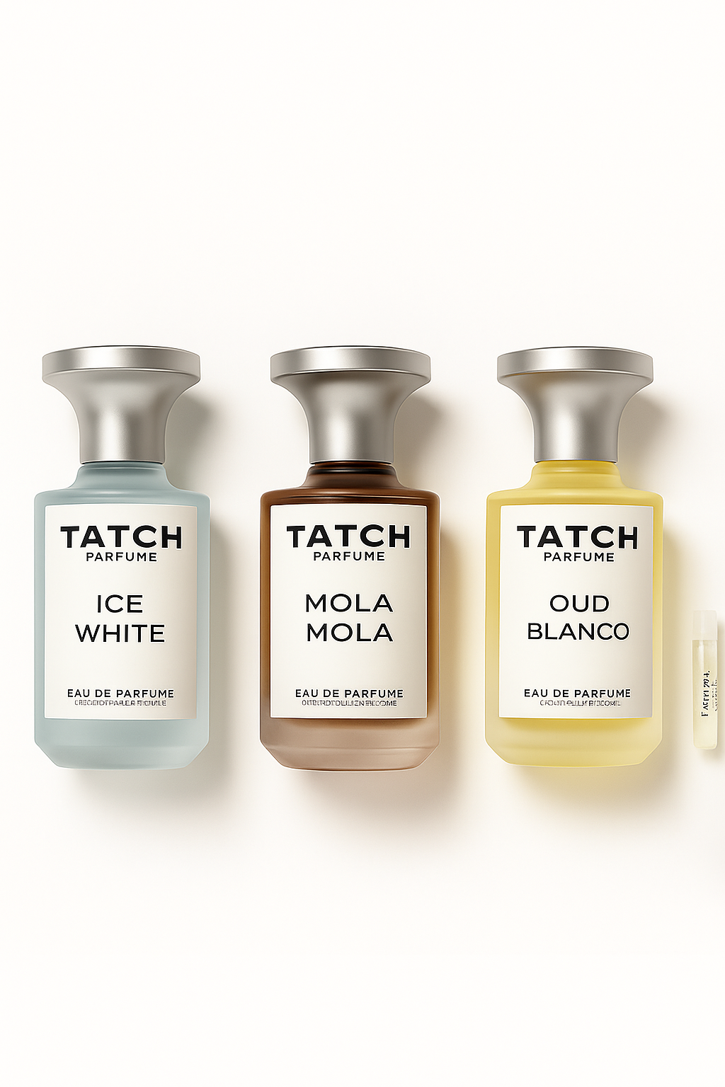 مجموعة تاتش ابسلوت